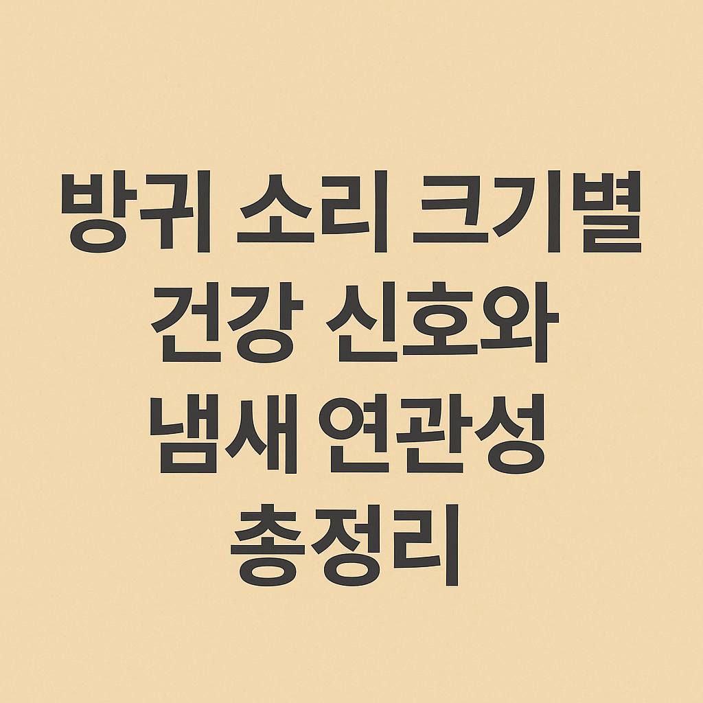 방귀 소리 크기