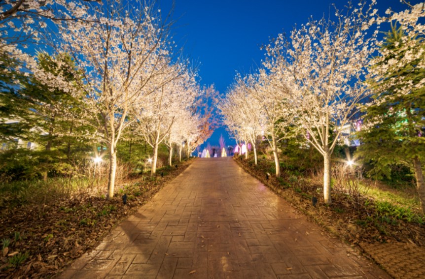 2024년-4월-전국-축제-일정