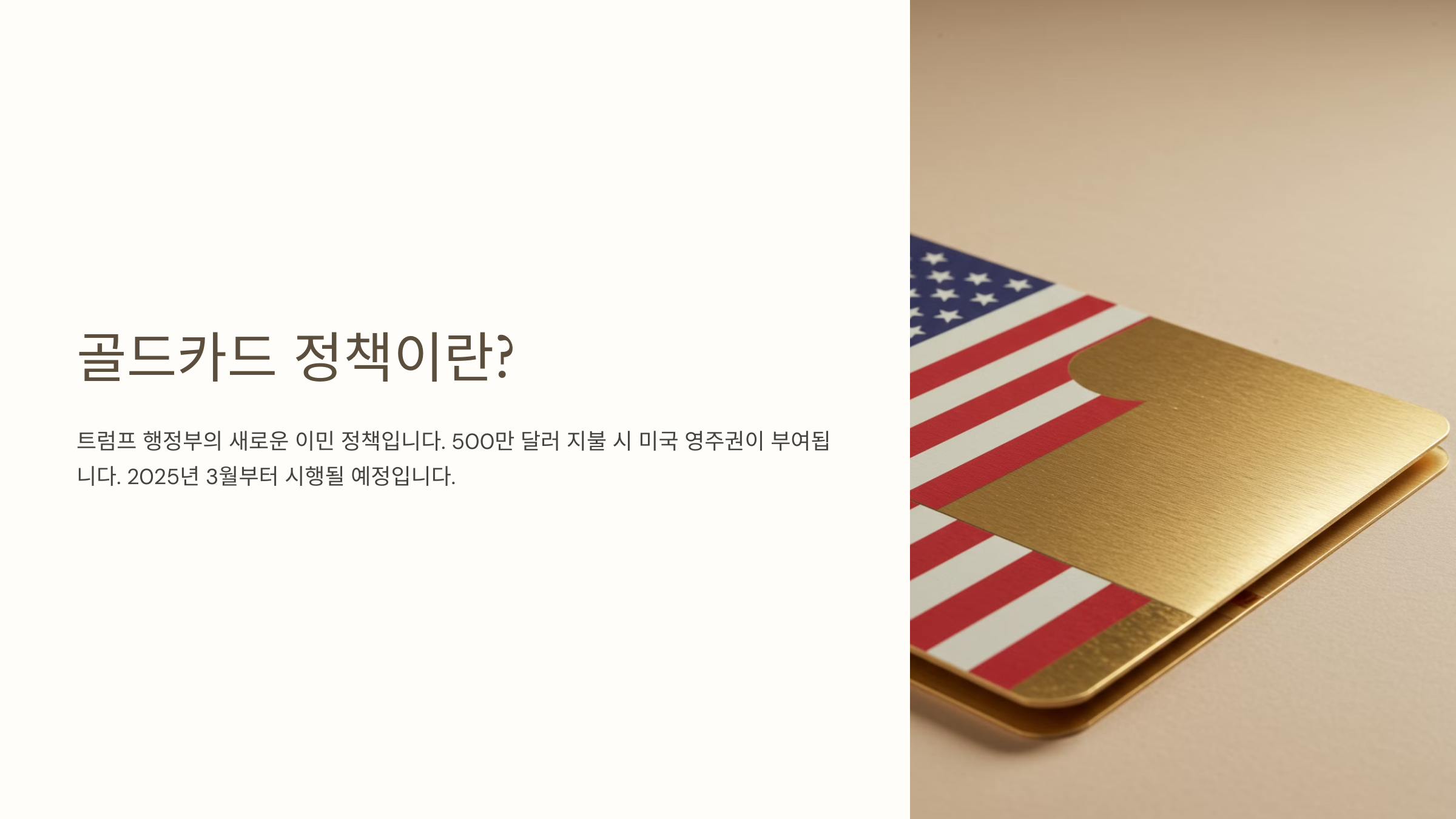 골드카드 정책이란?