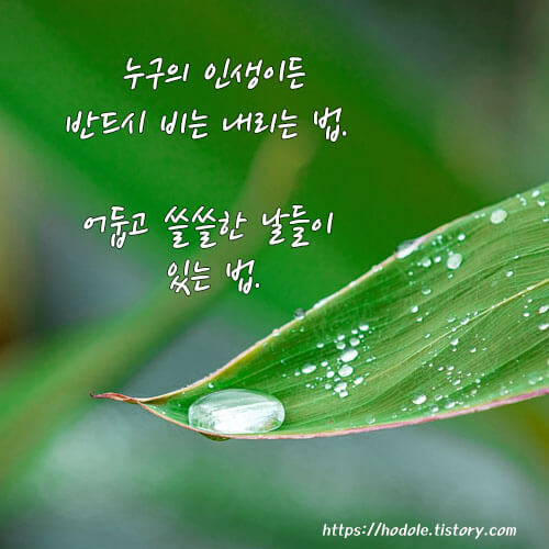 비-명언