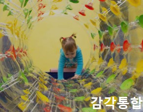 감각통합