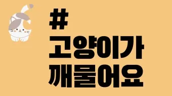 고양이 깨물고 핥아줄 때 관절 핥기 집사 눈물 핥는 의미_5