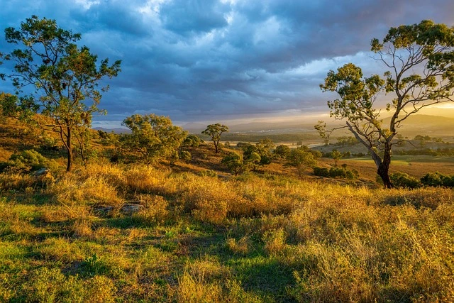 보육교사 장기미종사자 교육 경력 인정 기준