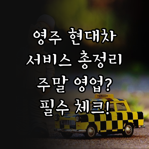 영주 현대자동차 서비스 네트워크 현황..