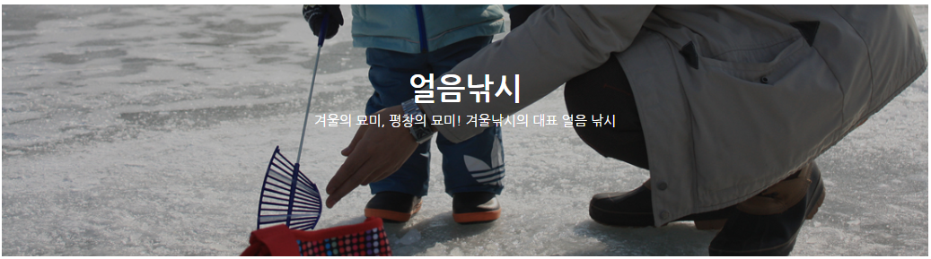 평창 송어 축제