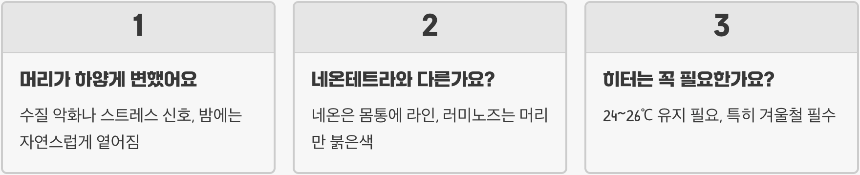 러미노즈테트라 키우기 A to Z (어항, 먹이, 수질 관리)