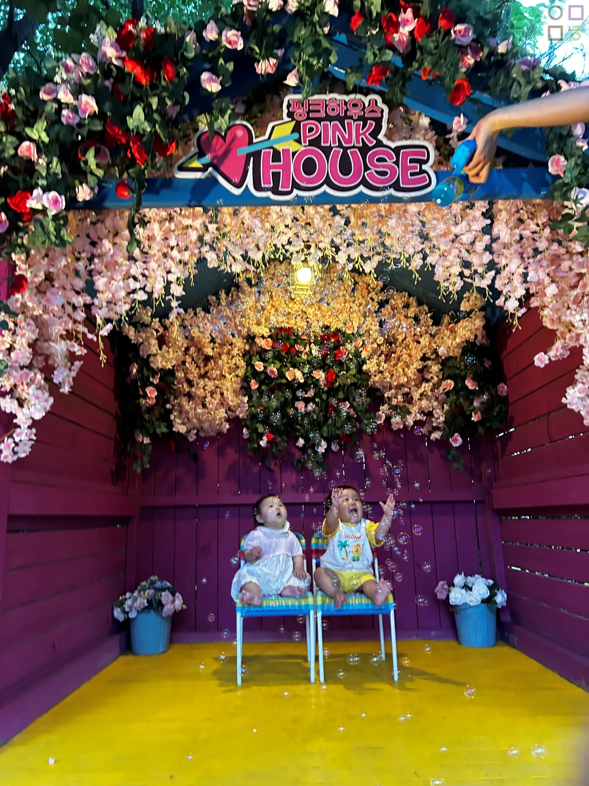 핑크하우스-꽃-사진-촬영-공간-버블건
