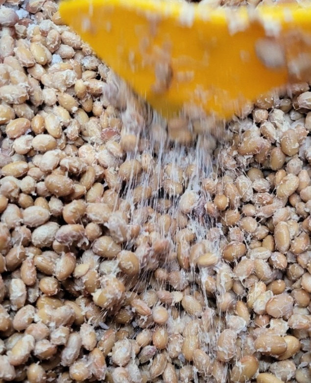 동네한바퀴-영암-어육간장-배재희-된장