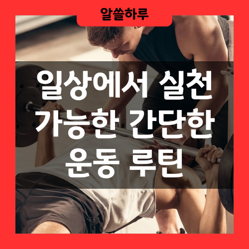 간단한 운동 루틴