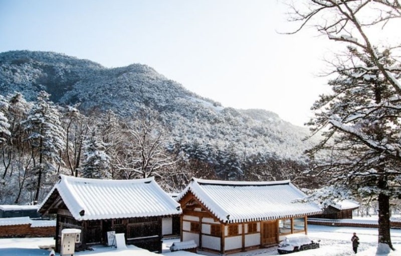 겨울 산사 템플스테이 명소&amp;#44; 고요 속 나를 찾는 사색 여행!