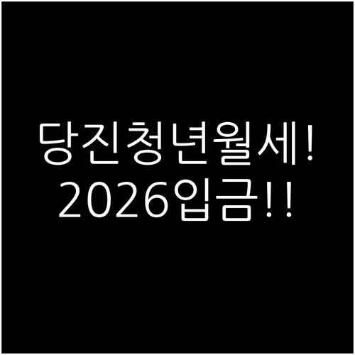 당진시 청년월세지원 2026년 입금 ..