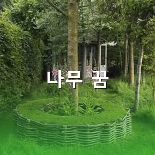 울창한-수풀에-나무가-잘-가꿔진-정원