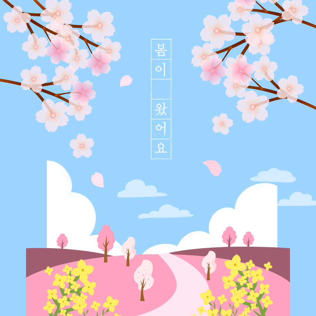 2025 벚꽃 개화 시기 & 전국 벚꽃 축제 총정리