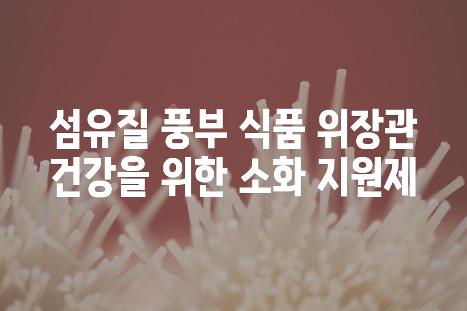 섬유질 풍부 식품 위장관 건강을 위한 소화 지원제
