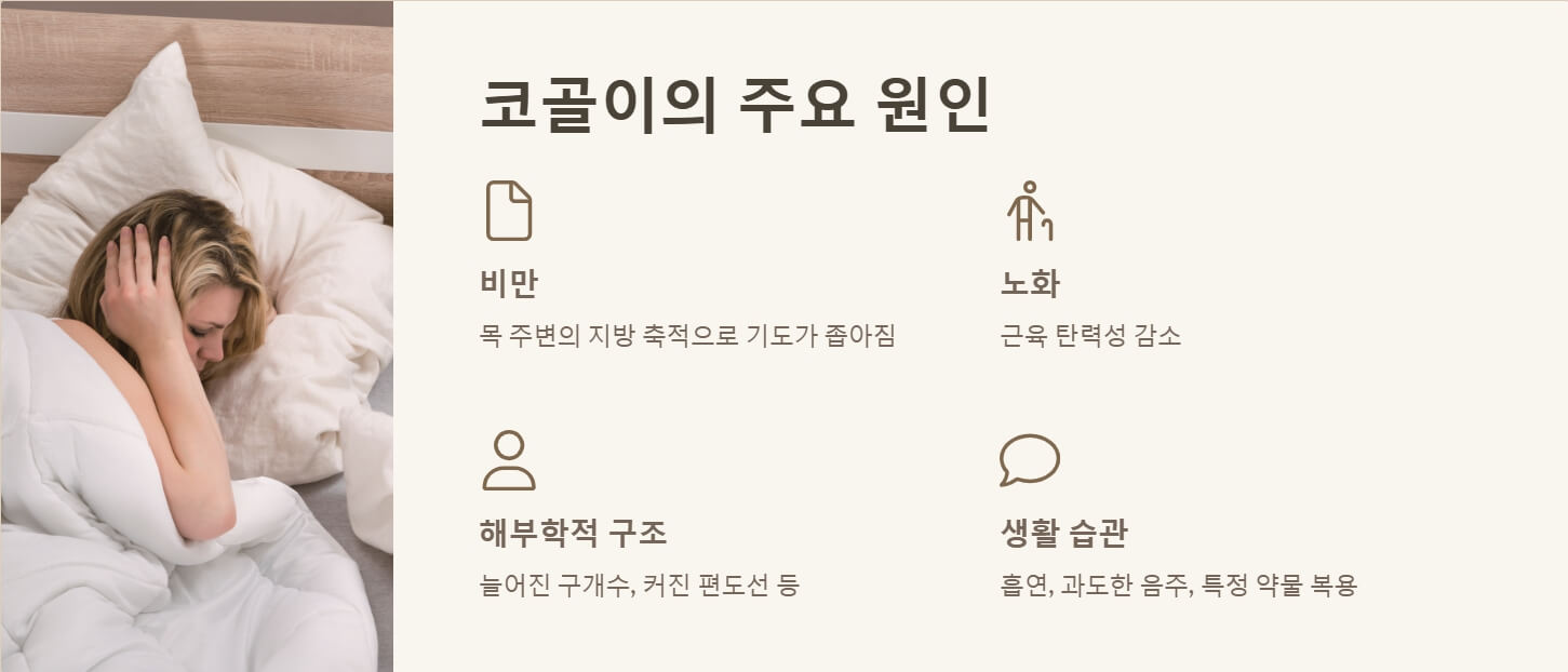 코골이 원인 예방법