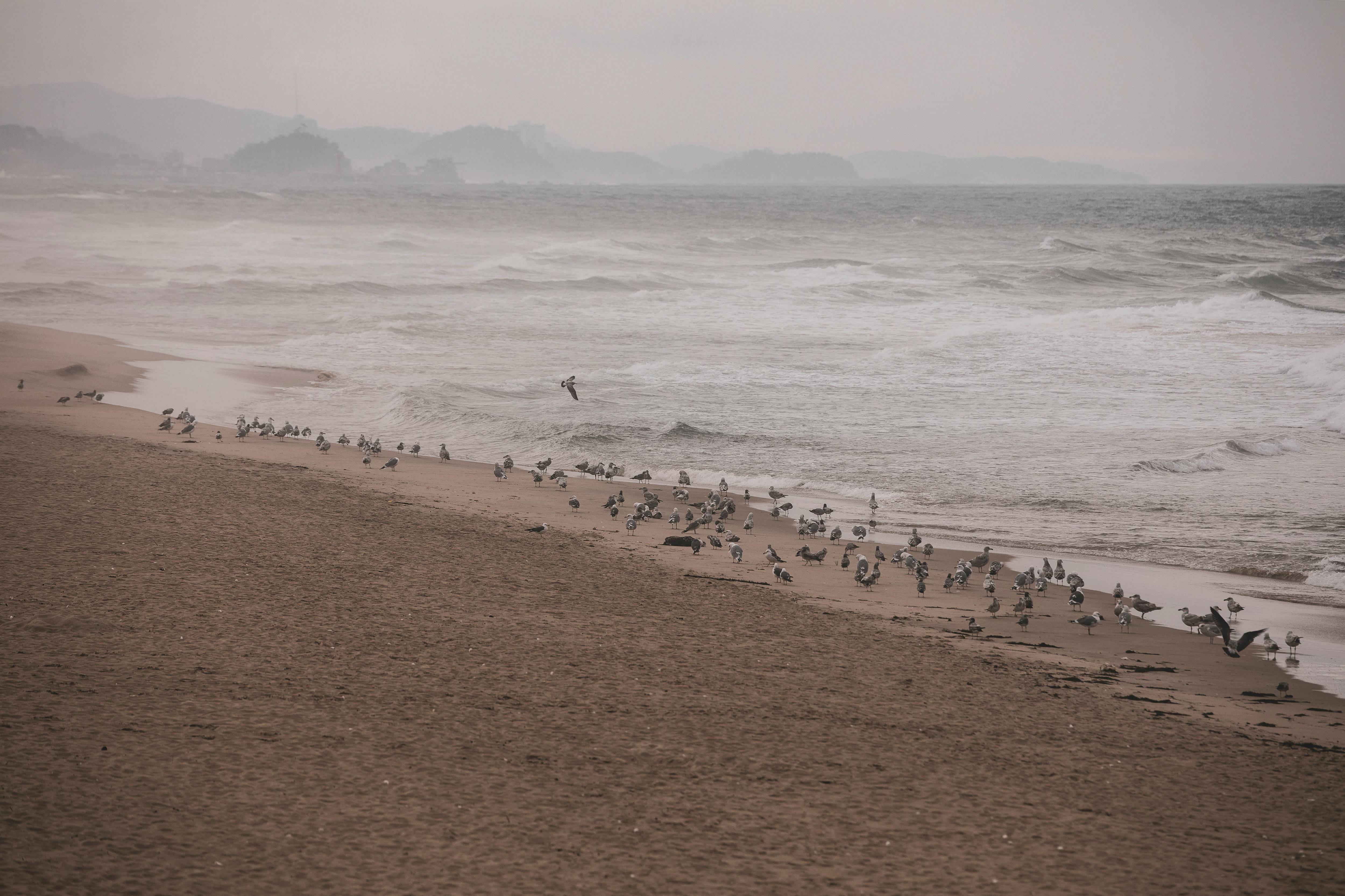 강릉 모습들 이미지