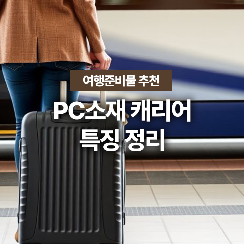 pc소재 캐리어 추천
