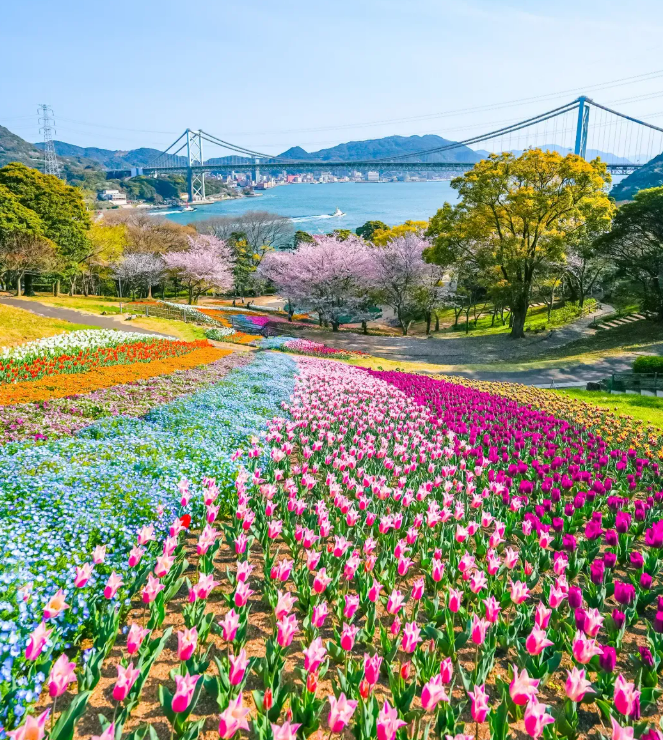 후쿠오카놀거리 07