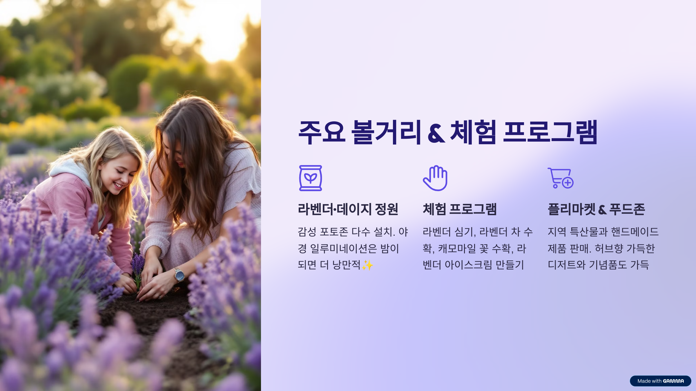 포천 허브아일랜드 라데봄 축제 총정리