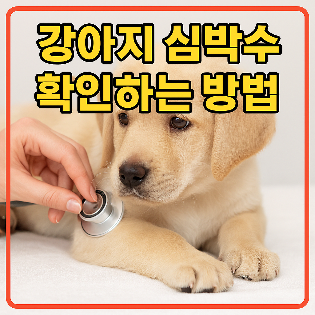 강아지 심박수 확인하는 방법