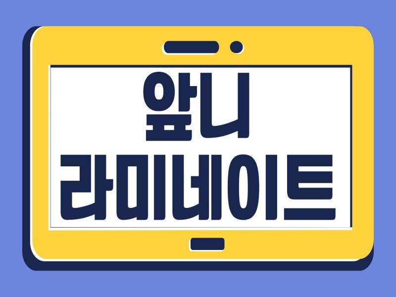 앞니라미네이트