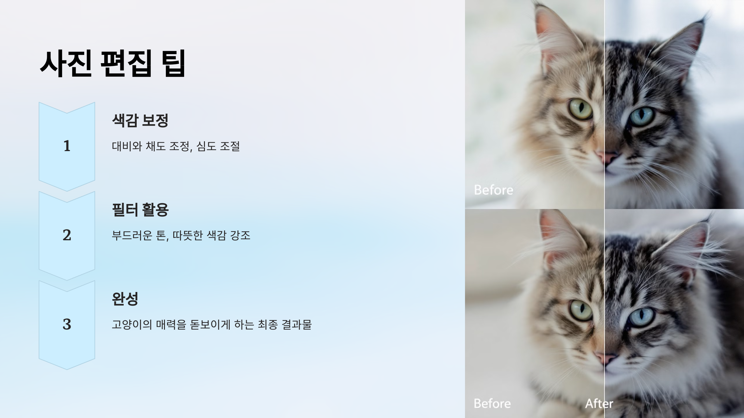 사진 편집 팁