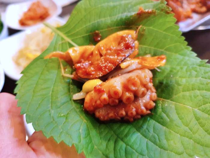 생방송투데이 분당 정자역 수도권 최고의 주꾸미볶음 맛집