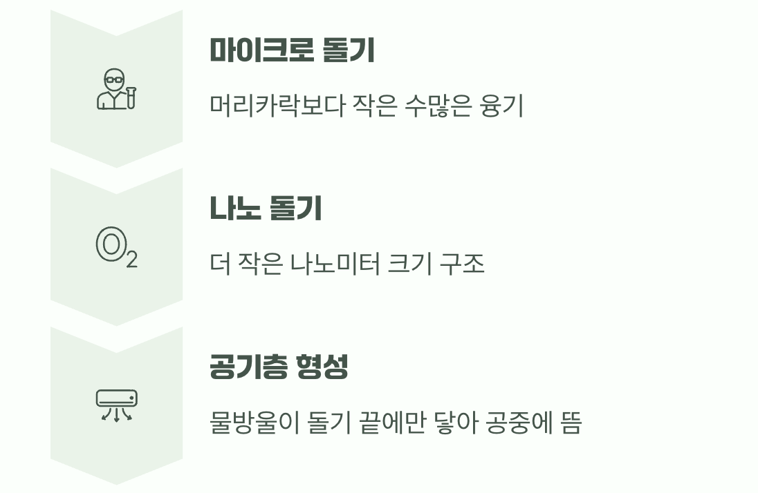 비밀은 눈에 보이지 않는 돌기들