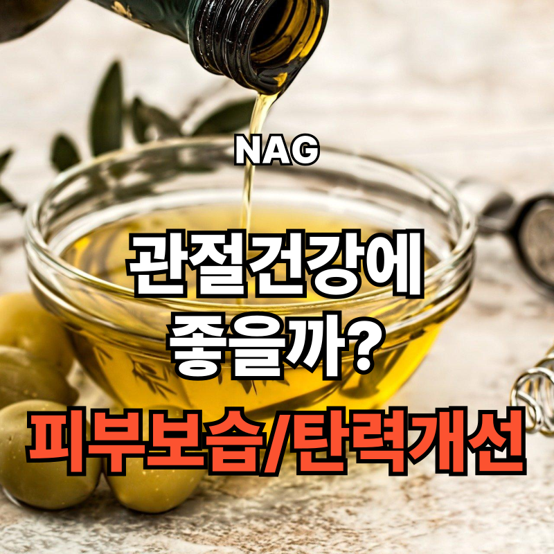 💊 NAG (N-아세틸글루코사민) 효능과 부작용, 복용 팁까지 총정리!