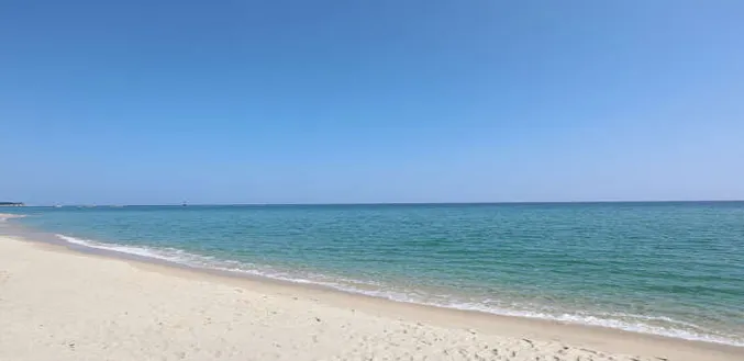 바다향기