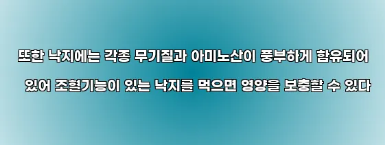  또한 낙지에는 각종 무기질과 아미노산이 풍부하게 함유되어 있어 조혈기능이 있는 낙지를 먹으면 영양을 보충할 수 있다