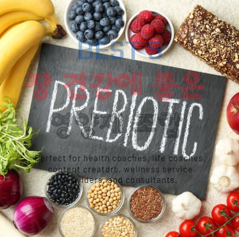 프리바이오틱스