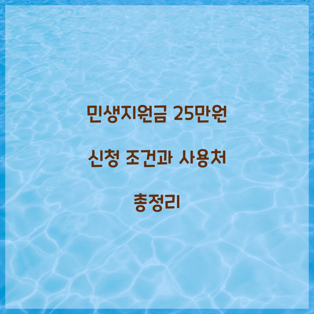 민생지원금 25만원