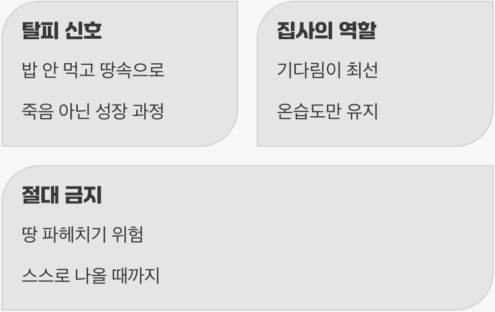 넷째, ‘탈피’는 성장을 위한 침묵의 시간