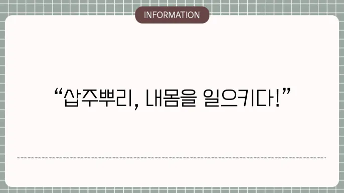 삽주뿌리 효능과 활용법 총정리