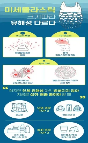 뇌를 잠식하는 미세 플라스틱 보이지 않는 위협_18