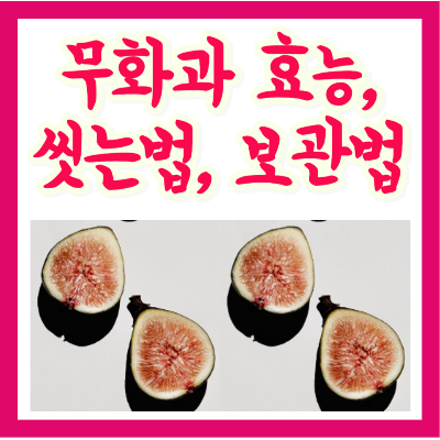무화과의 효능 13가지와 제대로 고르는법, 씻는법, 보관법, 섭취 시 주의사항 총 정리
