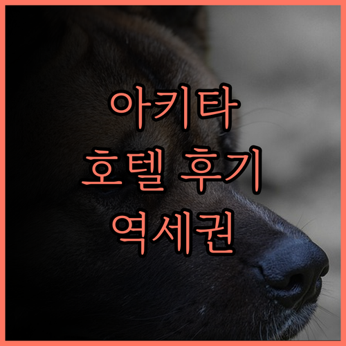 아키타 숙소 추천 호텔 메트로폴리탄 