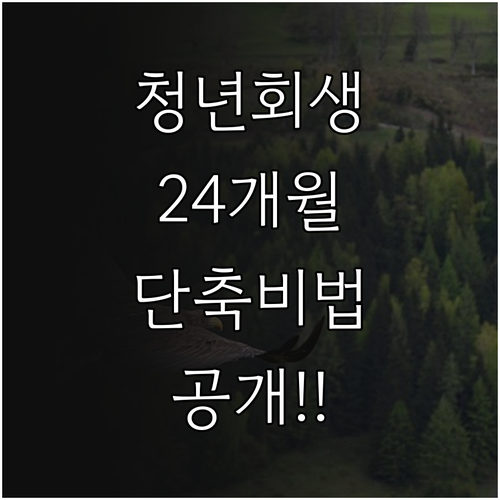 청년 및 취약계층 개인회생 24개월 ..