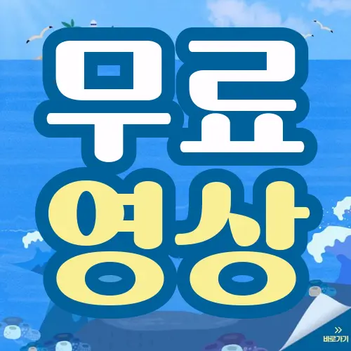 무료 영상