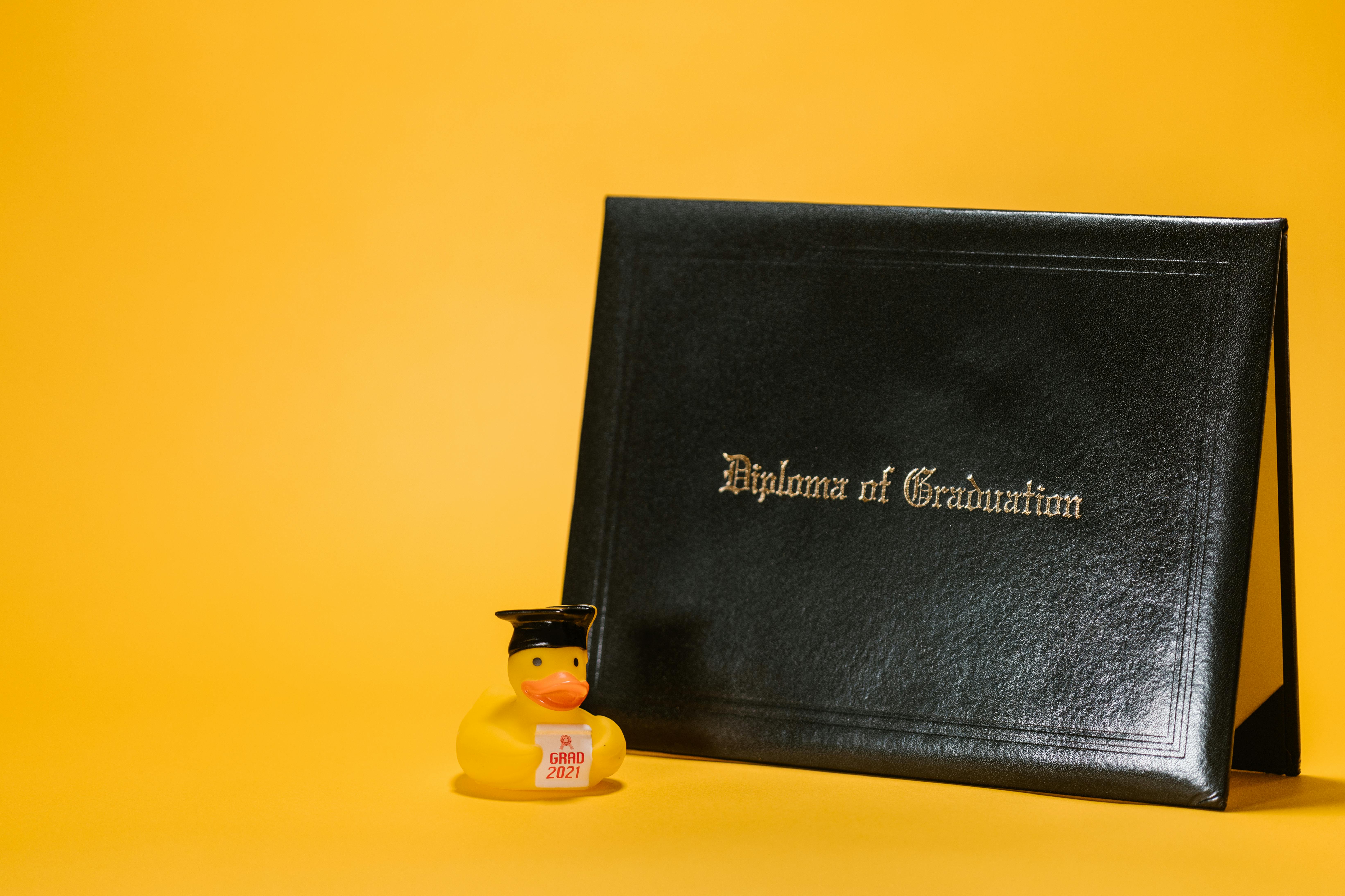 대학원생세금환급