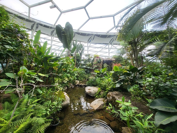 부천 수피아 식물원