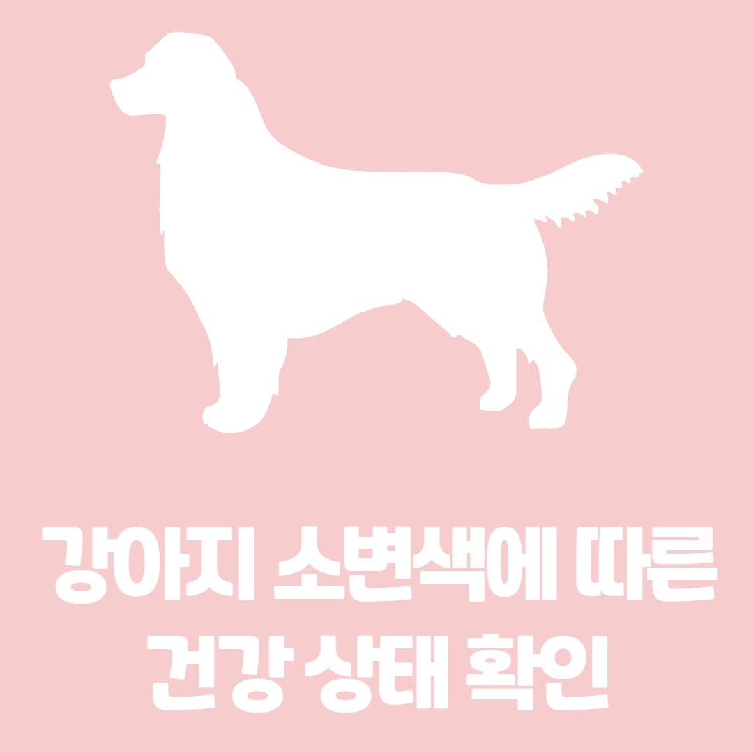 강아지 소변색에 따른 건강 상태 확인하기