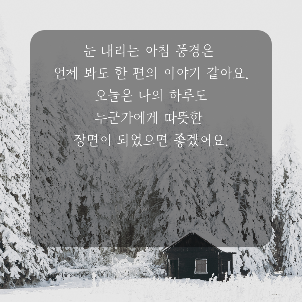 소설 인사말 겨울 인사말 이미지 문구 안부글 오음집 11월