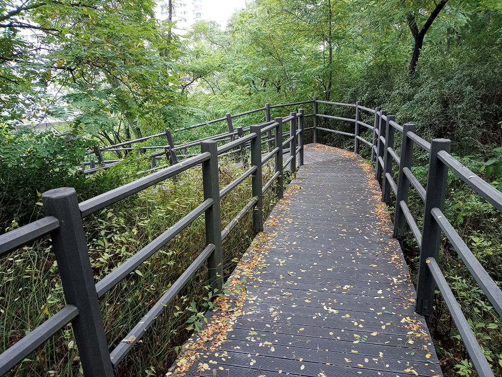 시장따라 나혼자걷기 챌린지