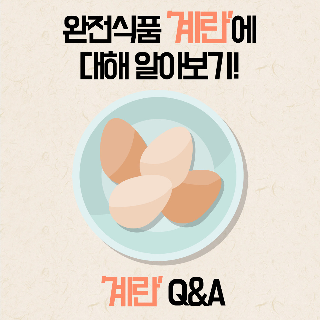 계란&#44;달걀
