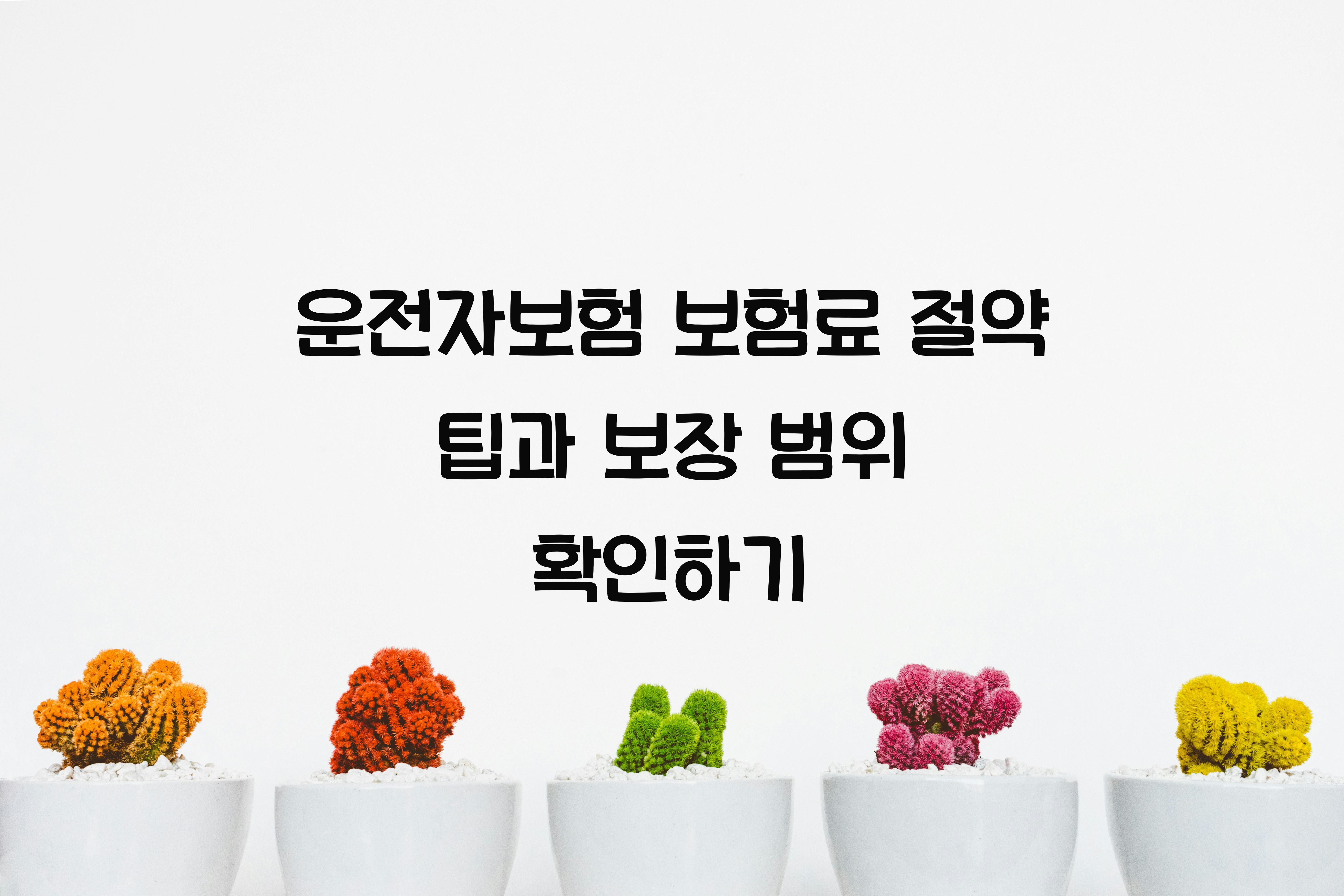 운전자보험 보험료 절약 팁