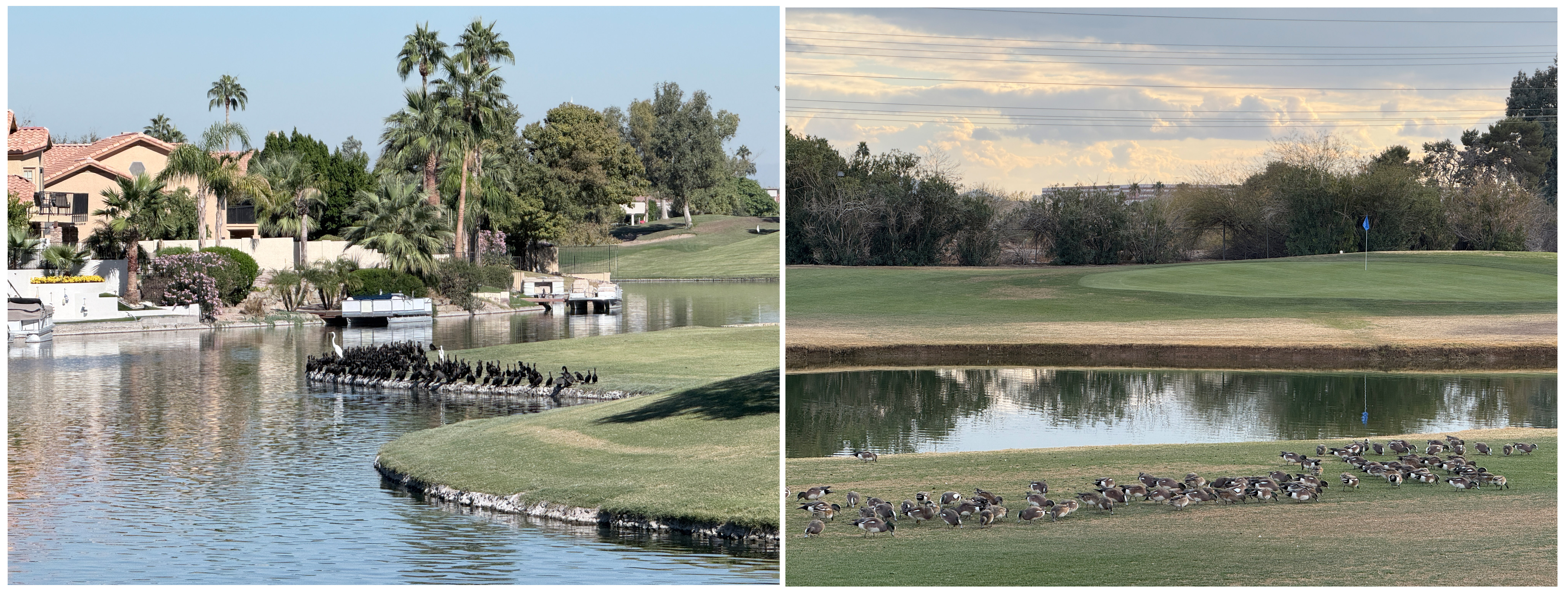 img.jpg?credential=yqXZFxpELC7KVnFOS48ylbz2pIh7yKj8&expires=1764514799&allow_ip=&allow_referer=&signature=ZefHPgXGOA%2FBJkCopuj2OETPDkU%3D