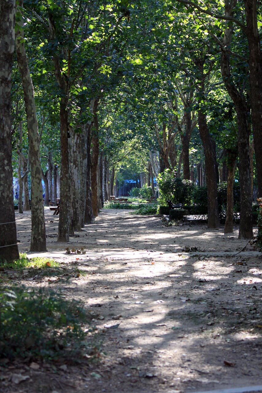 삶의 동반자, 반려동물과의 이별