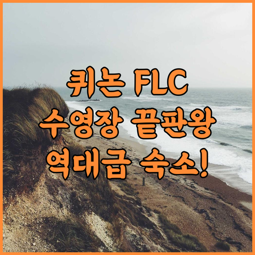 FLC 그랜드 호텔 퀴논 후기 현대적..